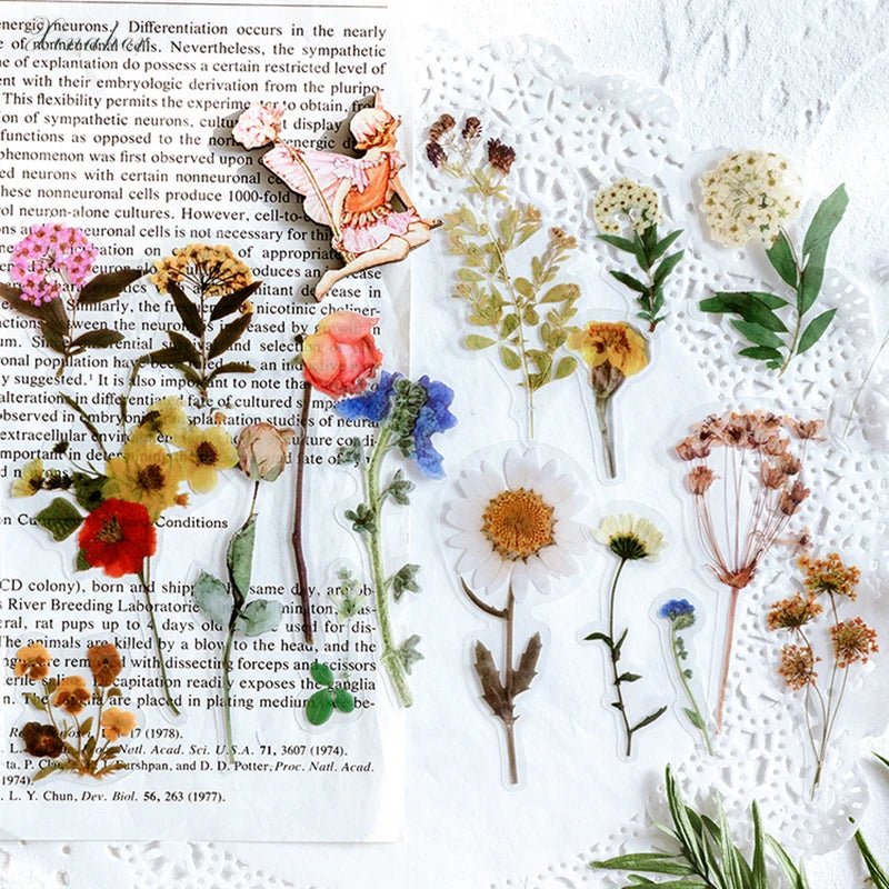 Stickers fleurs séchées pour Junk Journal 🌸